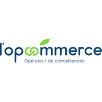 Financer sa formation d'anglais, d'espagnol, de langues avec l'opcommerce.